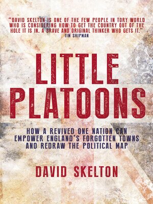 cover image of Little Platoons